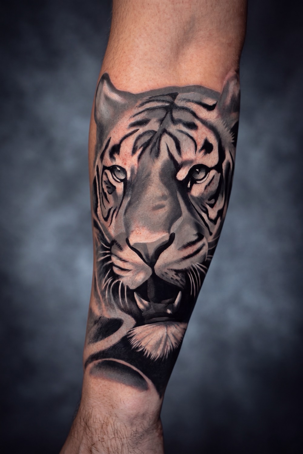 Black and grey realistic tiger on the forearm